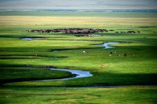 内蒙古中部的锡林郭勒大草原在盛夏时节水草丰美