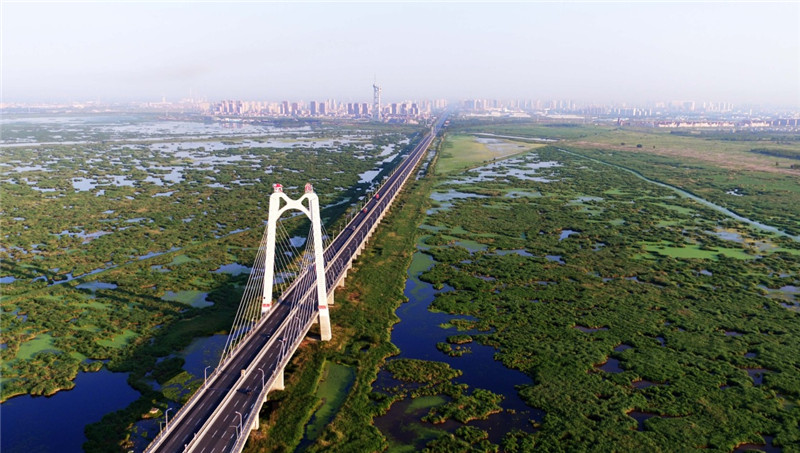 这是大庆龙凤湿地大桥横跨龙凤湿地自然保护区（7月4日摄）。