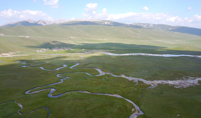 这是7月18日拍摄的甘肃省甘南藏族自治州碌曲县郭莽湿地。
