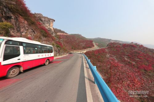 图2：全镇实现客运村村通，客车安畅行驶在美景中   唐探峰摄