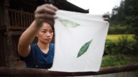 秋日里，贵州榕江少数民族妇女制作特色侗布（图）