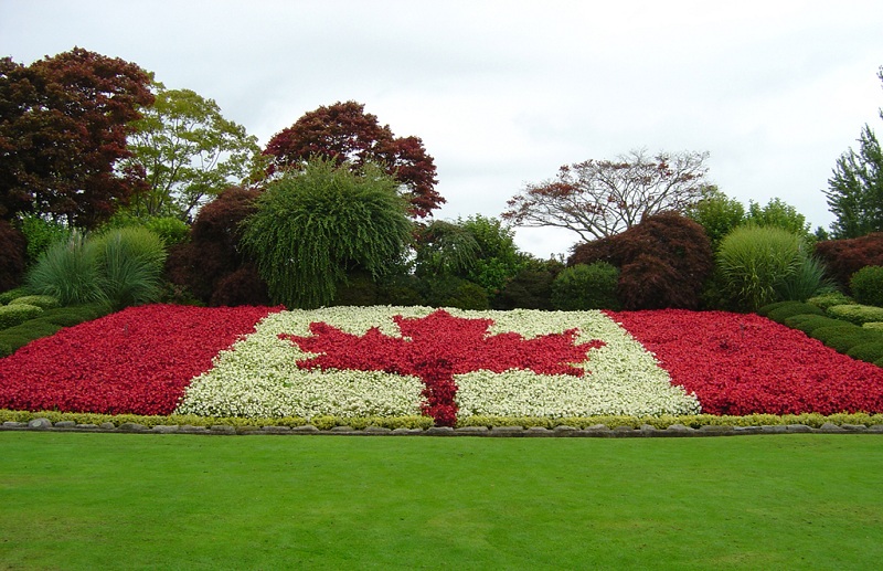 加拿大国旗花坛