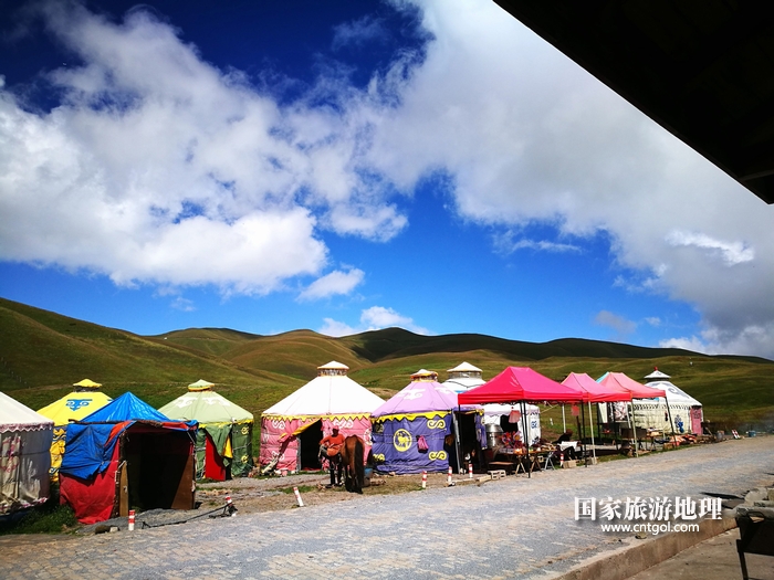 大海草山上的蒙古包，别有一番异域风情。