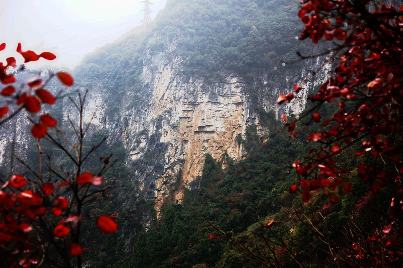 图5：天帝赏红叶美景   唐探峰摄于黄岩景区
