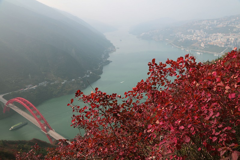 图13：红叶彩霞扮靓高峡平湖成壮景   唐探峰摄于文峰景区