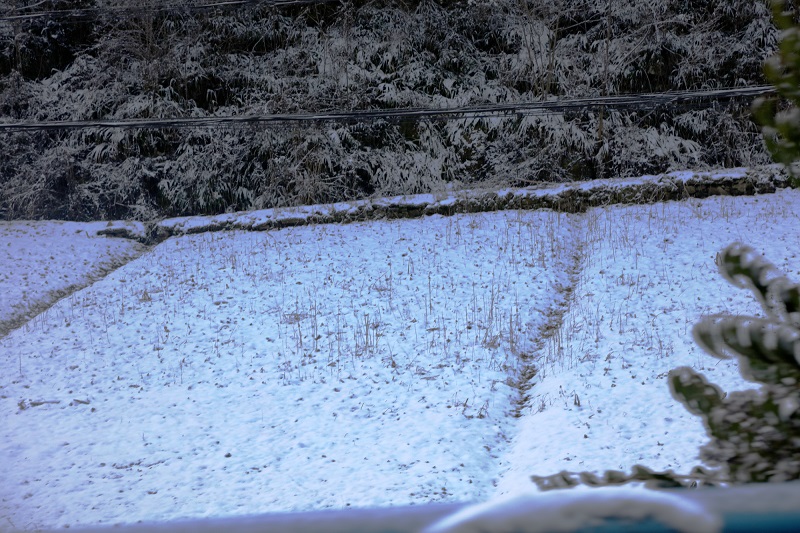 图2：雪封田园   唐探峰摄于建平乡中伙村