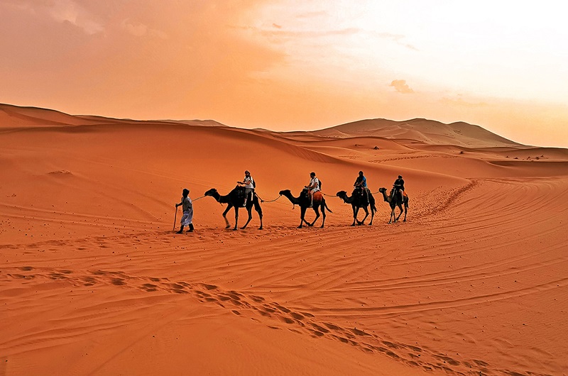 摩洛哥撒哈拉沙漠驼队风情