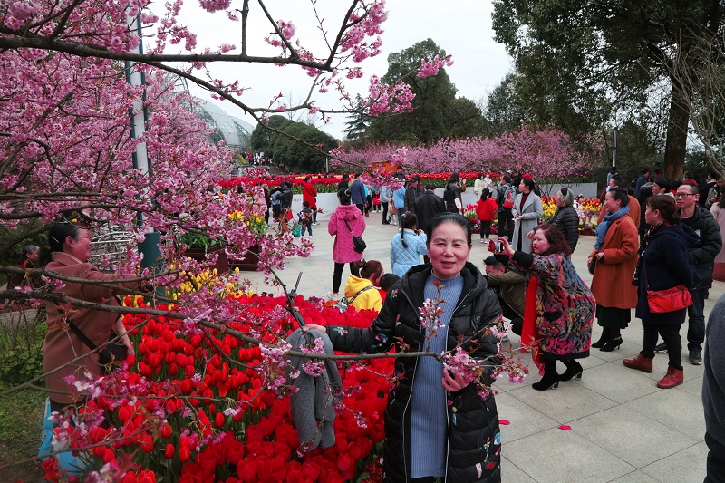 图6：重庆南山植物花卉园游客赏景拍照其乐无穷。唐探峰摄