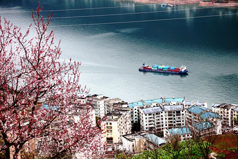 图3：三峡物流船舶经过美丽的巫山山水县城。唐探峰摄