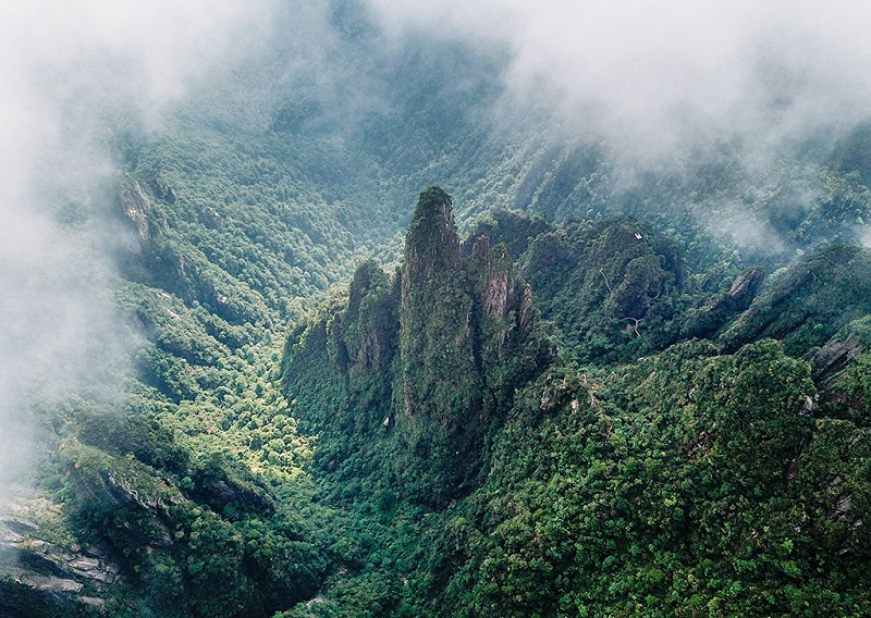 绿色生态的莽山和云雾美景