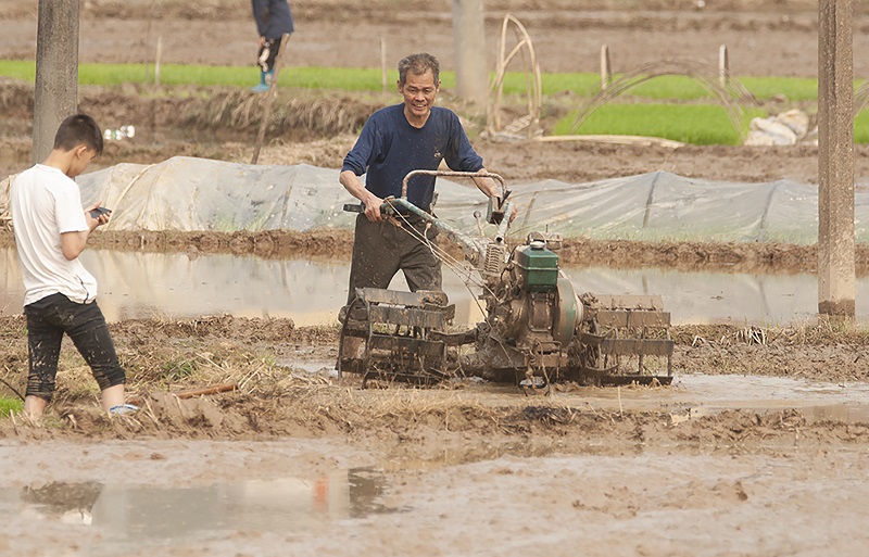 1、2021年3月13日，在广西壮族自治区梧州市万秀区夏郢镇答涓村，一片繁忙的春耕景象，村民正在水田里抢插水稻。（何华文）