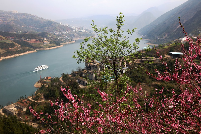 图2：三峡百里花海长廊游轮在高峡平湖赏花行。唐探峰摄