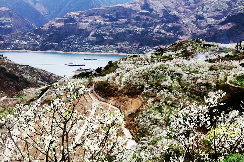 图10：两艘货船安畅航行在高峡平湖。唐探峰摄