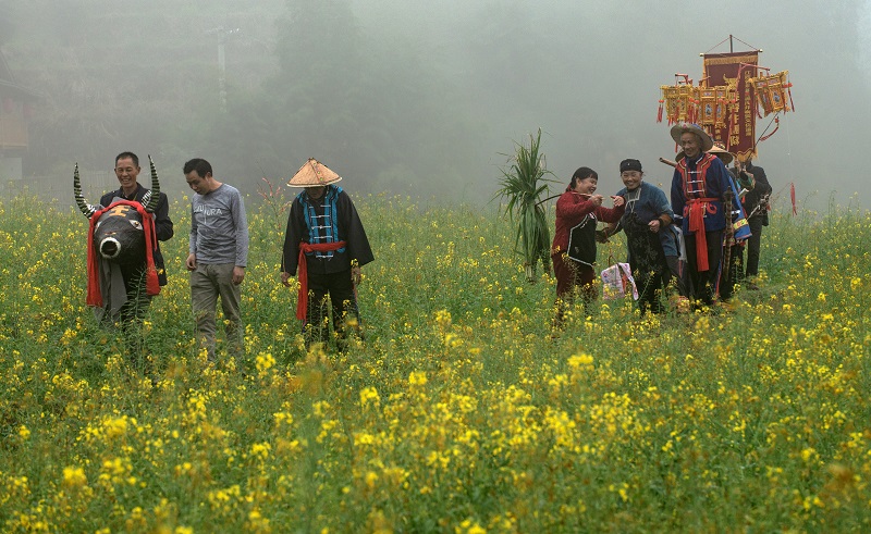 “崇义舞春牛”成为梯田文化的亮点。