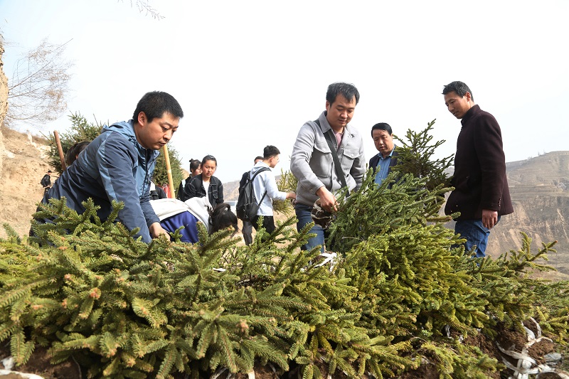 03——师生在搬运绿化苗木。