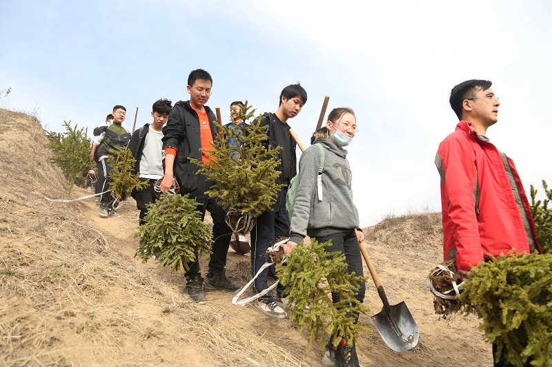 04——师生在搬运绿化苗木。