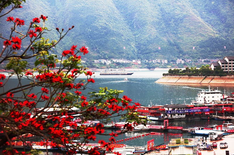 图6：巫山平湖港区红花迎客画舫缓缓行。唐探峰摄