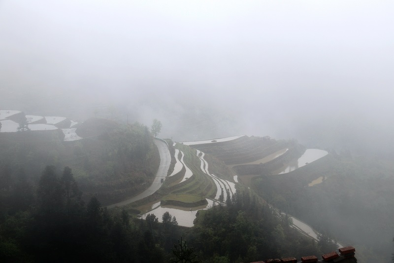 2021年4月5日，贵州省从江县加勉乡羊达梯田与云雾若隐若现