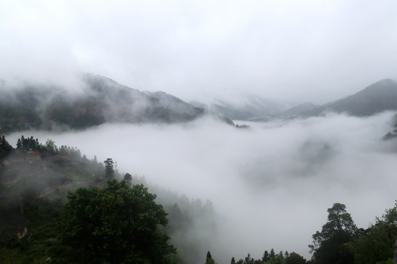 2021年4月11日，贵州省从江县加勉乡现云海景观