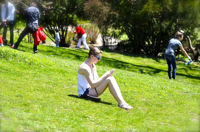 多伦多公园草地上在玩手机的美女