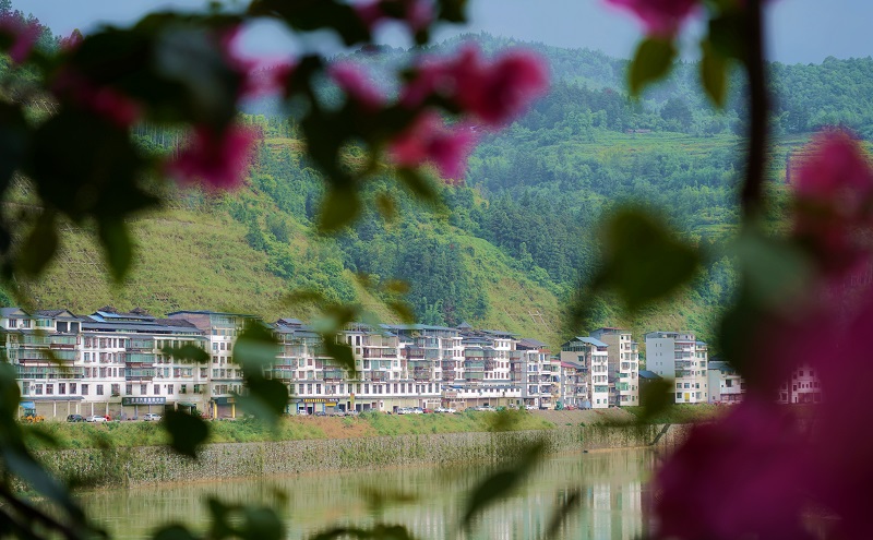 2021年5月13日，透过三角梅看到的从江县城月亮湾区。