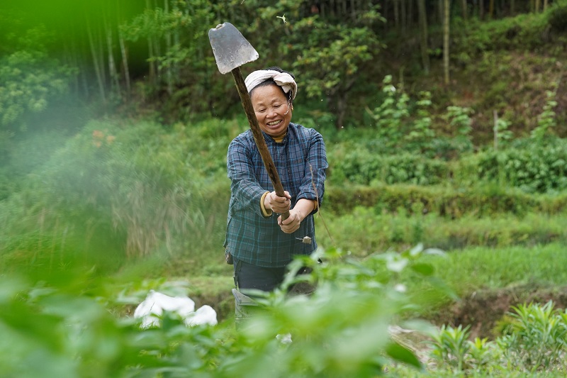 2021年5月20日，贵州省从江县贯洞镇德刷村村民正在挖田备耕。
