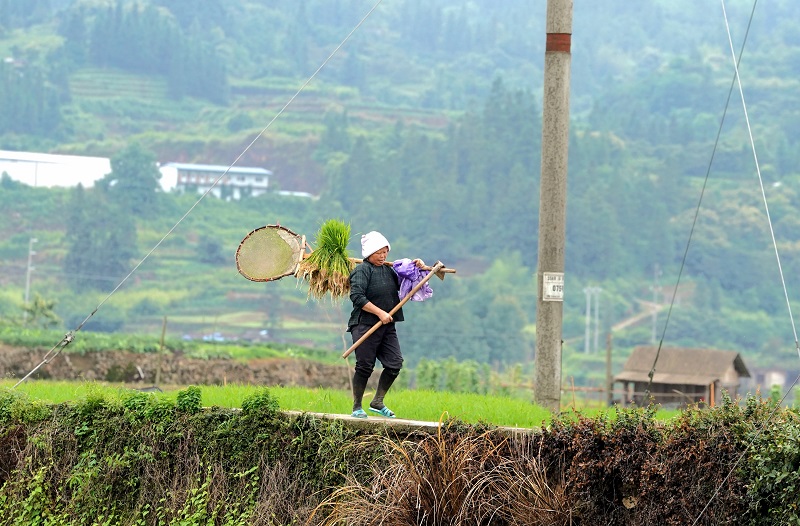 2021年5月20日，貴州省從江縣貫洞鎮貫洞村村民正在勞作歸途中。