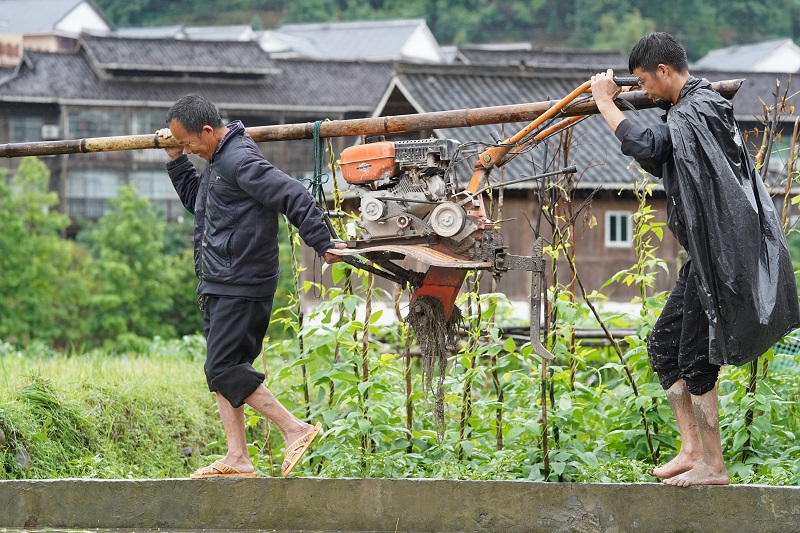 2021年5月20日，贵州省从江县銮里侗寨村民正在搬运犁田机。