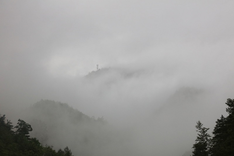 图1：云雾仙境。2021年7月8日，摄于巫山青山。唐探峰