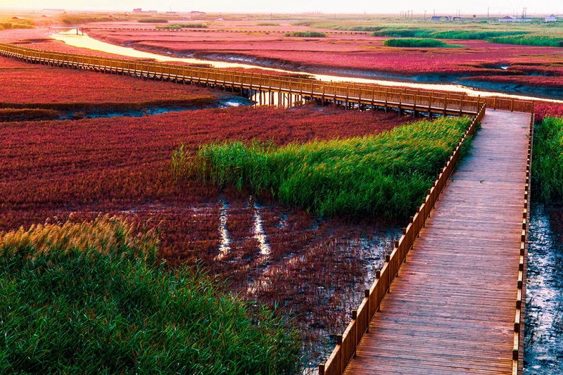 红海滩栈桥游道