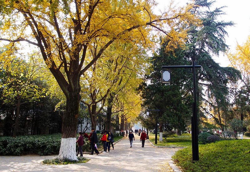 南京玄武湖公园的秋色