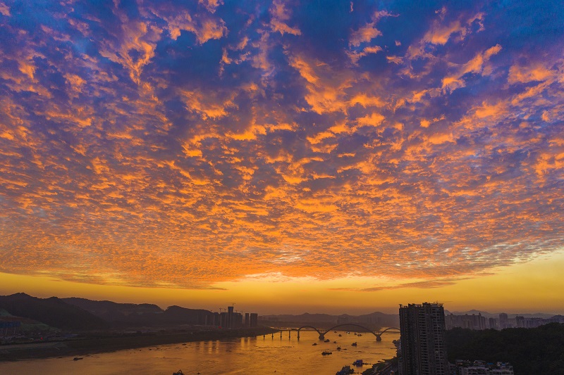 1、2021年10月26日下午，广西梧州市天空惊现满天鱼鳞云到傍晚的“火烧云”晚霞，红霞映红了整个山城水都，令人目不暇接，美不胜收。（何华文）