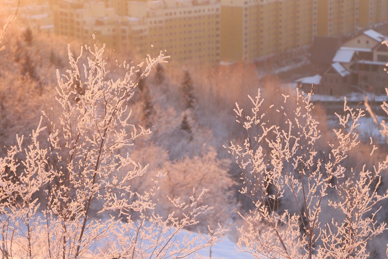 雪都阿勒泰的冬日暖阳 (9)