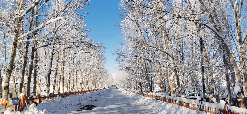 初冬时节，在新疆阿勒泰地区富蕴县可可托海拍摄的雾凇景观 (16)