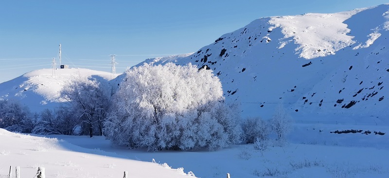 初冬时节，在新疆阿勒泰地区富蕴县可可托海拍摄的雾凇景观 (17)