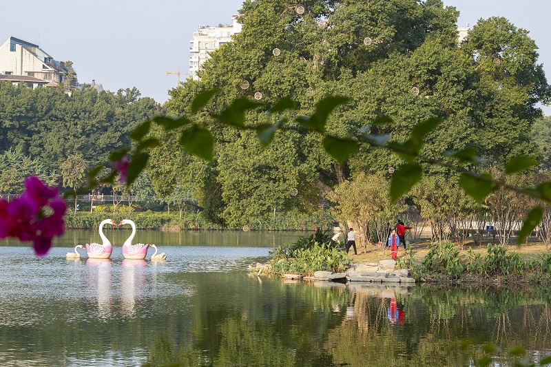 12、2021年12月14日，市民在广西梧州市潘塘湿地公园运动健身。