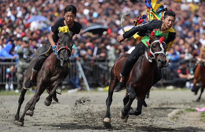 彝族虎文化节上的赛马