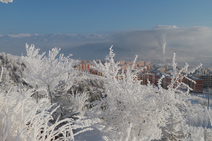 1月11日，新疆阿勒泰地区阿勒泰市出现大范围雾凇景观 (9)