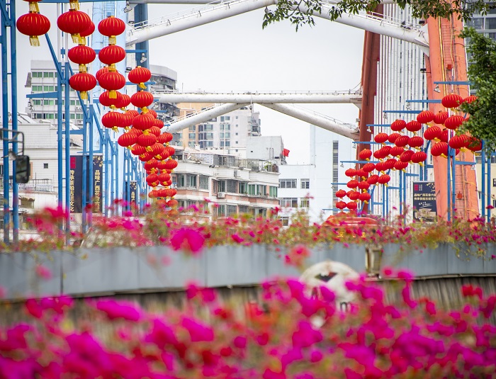 13、2022年1月24日，虎年春节临近，广西梧州市在主要街道挂满了国旗。各种鲜花和大红灯笼装扮街道、公园和广场，整个城市年味越来越浓，处处洋溢着喜庆、祥和的节日氛围。（何华文）