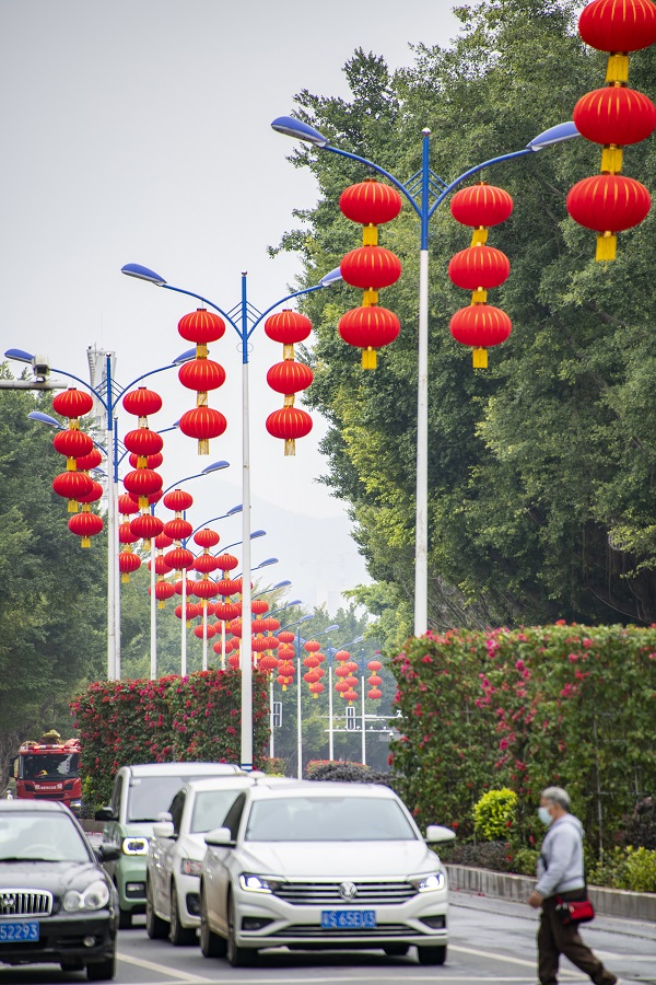 1、2022年1月27日，广西梧州市西堤路隔离绿化带上大红灯笼高挂，年味浓浓，营造出欢乐祥和、喜庆的节日气氛。（何华文）
