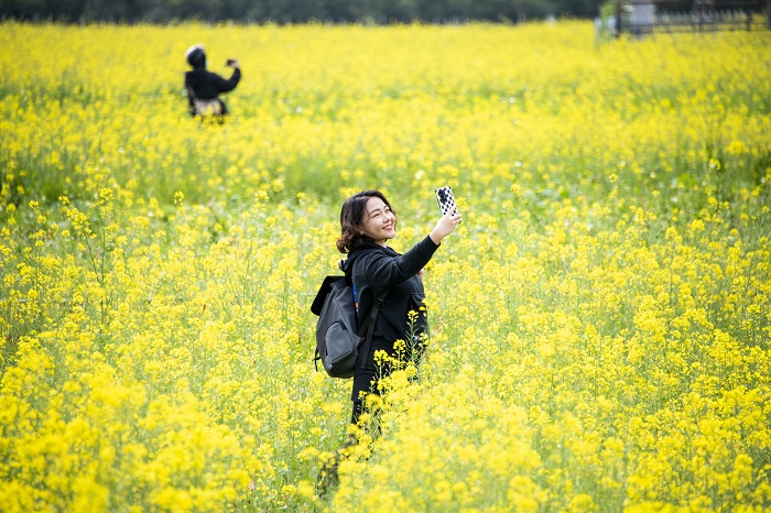 10、2022年2月15日，廣西梧州岑溪市歸義鎮金雞村羅許垌的油菜花盛開，如畫的美景吸引大批游客前來踏青觀花，打卡拍照。（何華文）