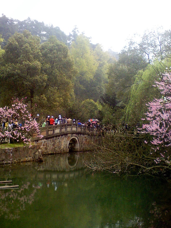 桃花源景色