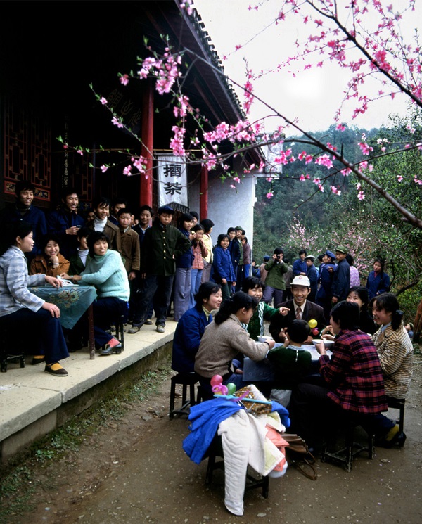 桃花源檑茶
