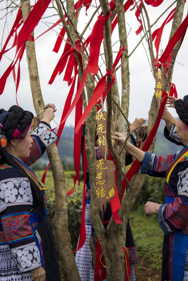2022年3月27日，贵州省六枝特区落别乡茶叶基地，执事者正在组织“结梦花”活动。 (3)