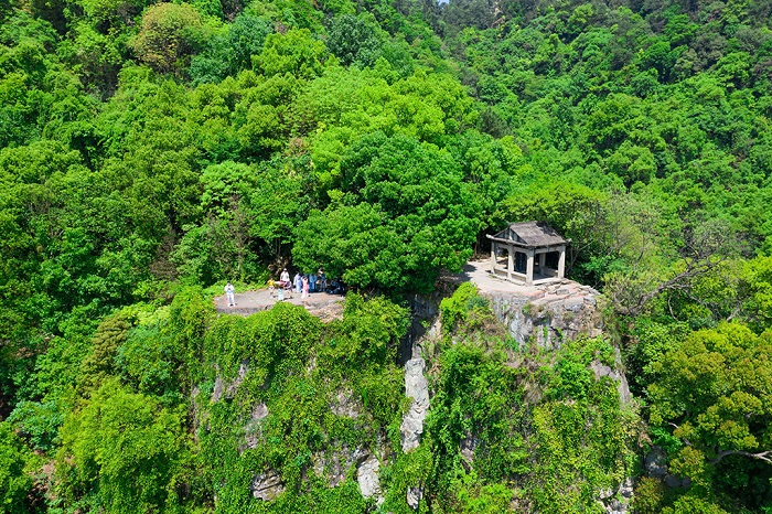 双台垂钓