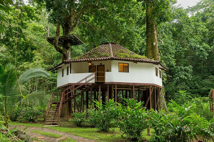 哥斯达黎加拉帕斯丛林别墅