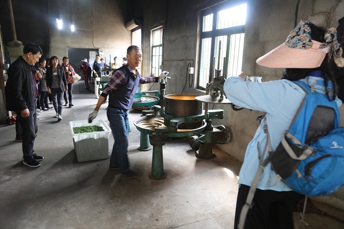 图17：退休教师来到茶叶加工厂，参观工艺制茶流程。唐探峰摄