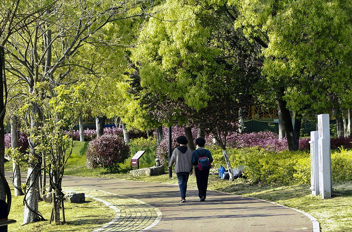 游宿州三角公园