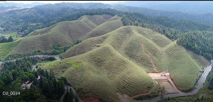 黎平县罗里乡樟溪千亩油茶基地