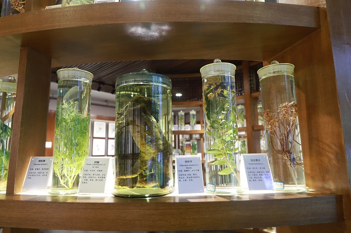 各种瓶浸制植物标本。